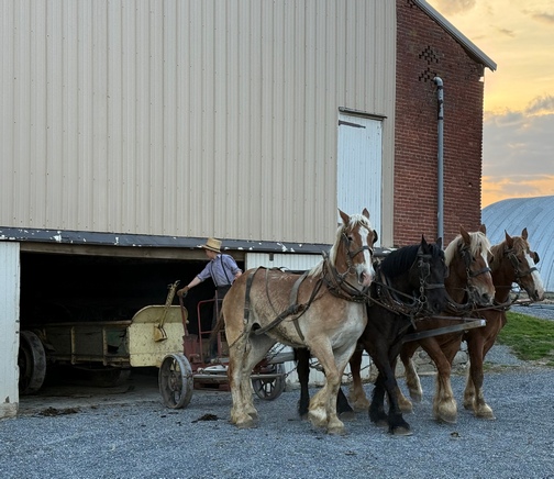 Backing team into barn