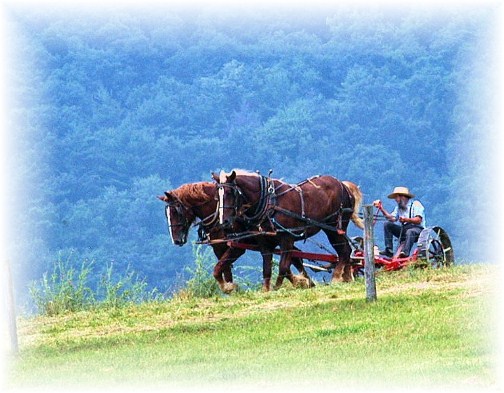 Belleville PA amish man plowing