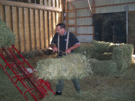 Bucking hay on an Amish farm 6/11/10