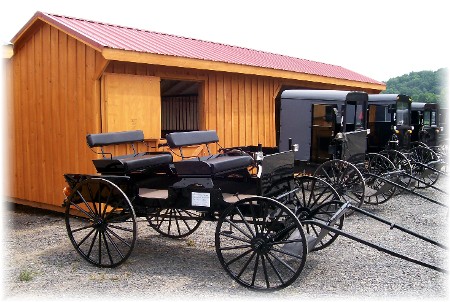 Buggies for sale at Amish sale in Perry County PA
