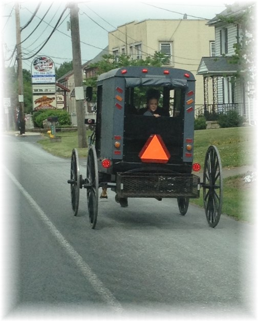 Amish buggy 5/27/15