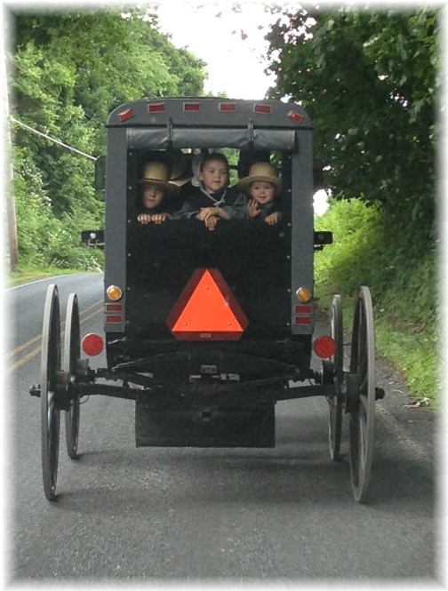 Amish buggy 5/31/15