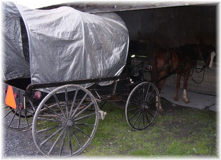 Conestoga wagon style buggy