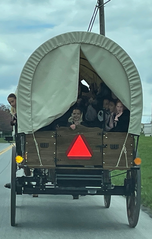 Conestoga wagon ride