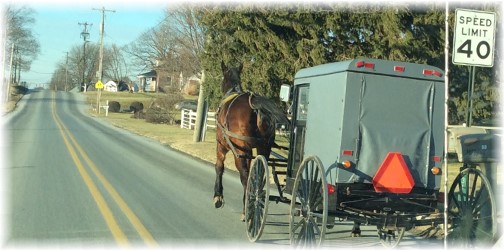 Dual horsepower buggy, Lancaster County, PA 1/19/14