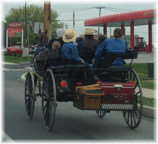 Amish family off to picnic 5/5/15 (Click to enlarge)
