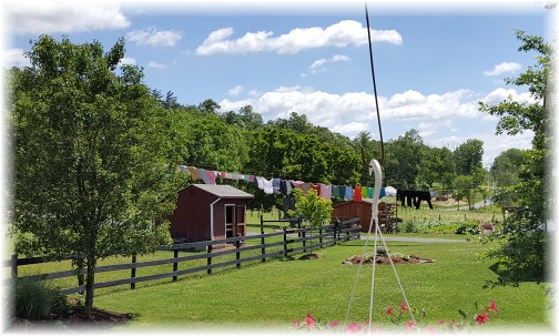 Amish farm near Fearnot, PA 6/20/17