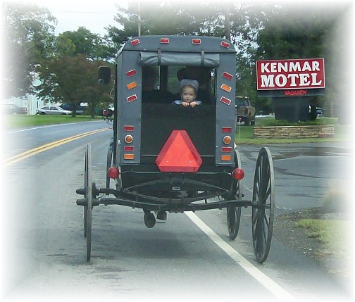 Franklin County Amish buggie 9/9/12