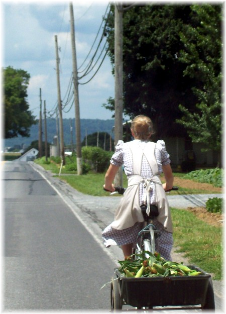 Old order Mennonite girl on bike in Lancaster County PA