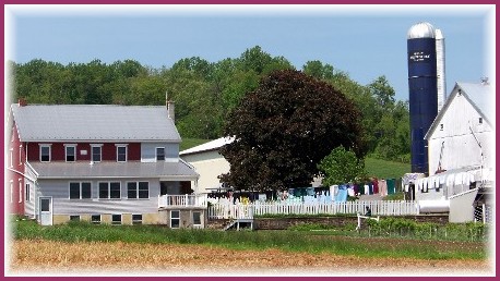 Harvest Road Amish Farm