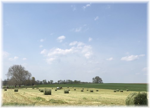 Amish hay harvest, Lancaster County, PA 5/3/18