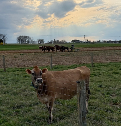 Kraybill Church Road field work