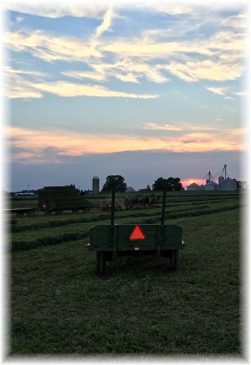 Amish Harvest Sunset, Lancaster County PA 6/18/16