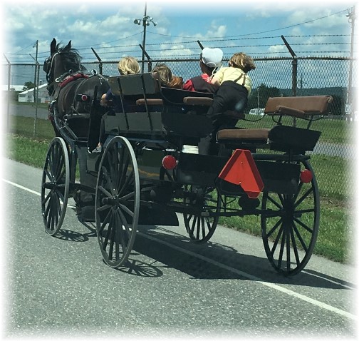 Amish spring wagon near Gratz, PA 6/20/17