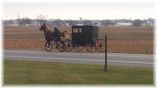 Mennonite bike and buggy