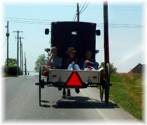 Old order Mennonite children riding in "pickup"