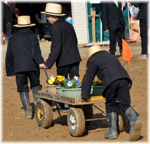 Amish boys helping at a mud sale, Lancaster County PA (Photo by Doris High)