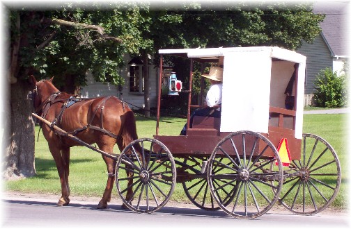 Nebraska Amish buggy