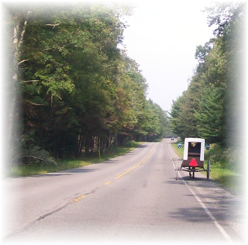 Nebraska Amish buggy on Rt. 45, Centre County, PA 9/3/11