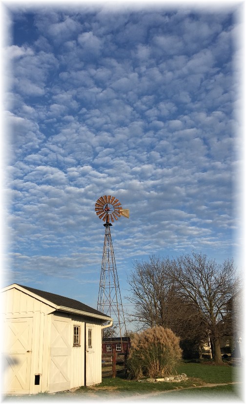 Old Windmill Farm 11/12/17 (Ester)
