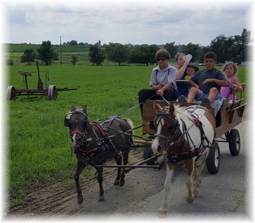 Amish tourist cart ride 7/15/17