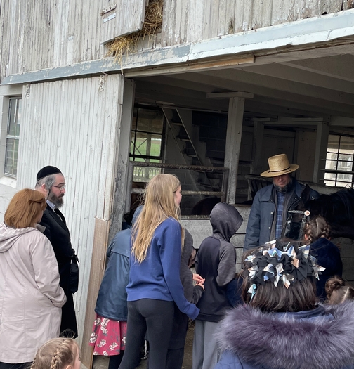 Old Windmill Farm barn tour