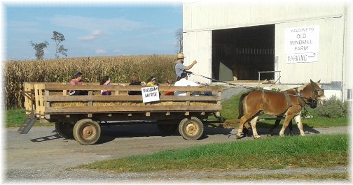 Old Windmill Farm horse-drawn hayride 10/10/17