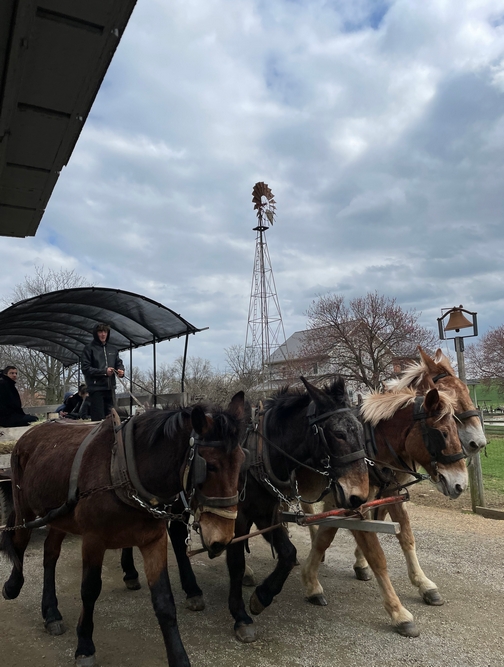 Old Windmill Farm wagon ride