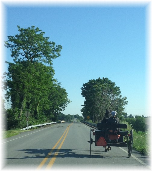 Amish open cart near Mount Joy, PA 6/14/14