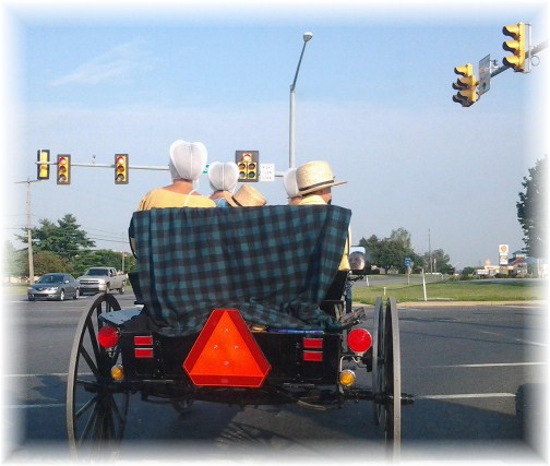 Amish open cart, Lancaster County PA