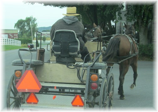 Amishman on open cart 10/9/13
