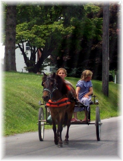 Pony cart ride 7/29/10
