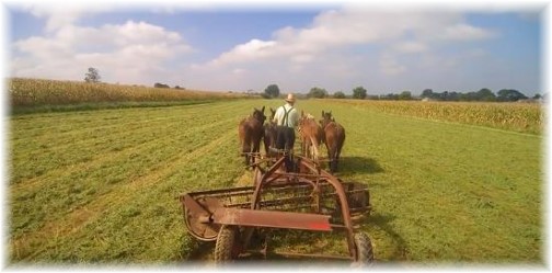 Raking hay from drone