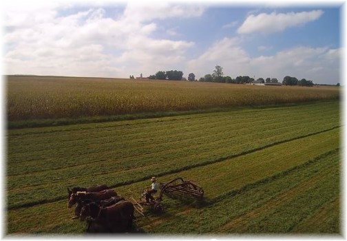 Raking hay from drone