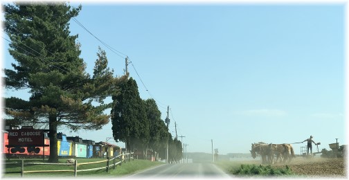 Amish planting corn, Lancaster County, PA 5/3/18 (Click to enlarge)