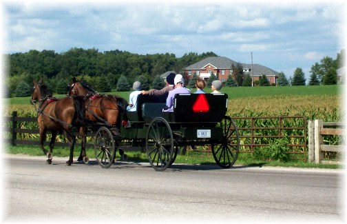Shipshewana Amish cart