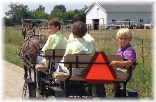 Shipshewana Amish open wagon with boys 8/7/14