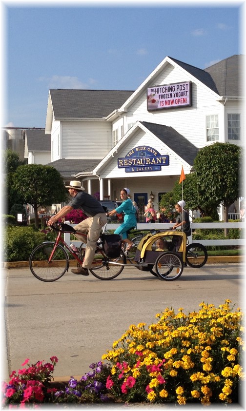 Shipshewana Amish bikes 8/7/14