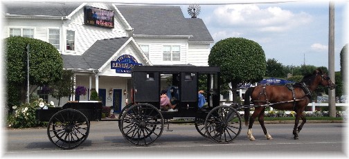 Shipshewana Amish horse&buggy with trailer 8/7/14