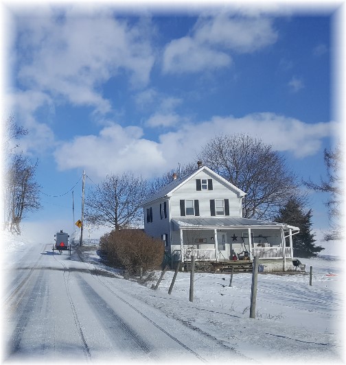 Amish buggie on snowy road 2/11/16 (Click to enlarge)