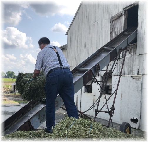 Unloading hay wagon on Old Windmill Farm 6/7/18