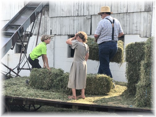 Unloading hay wagon on Old Windmill Farm 6/7/18