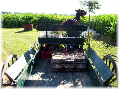 Wagon with homemade shoofly pies