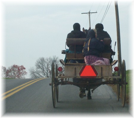 Photo of Wenger Mennonite open cart