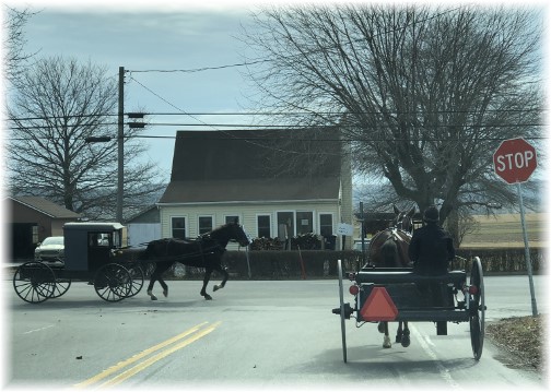 White Horse buggy traffic 2/15/18 Click to enlarge