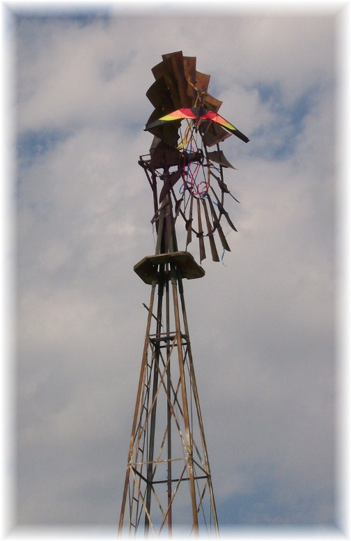 Kite in windmill