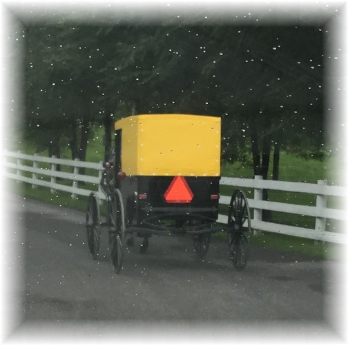 Yellow buggy Amish in Central PA