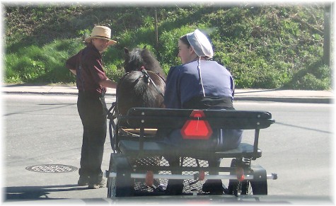 Amish Cart