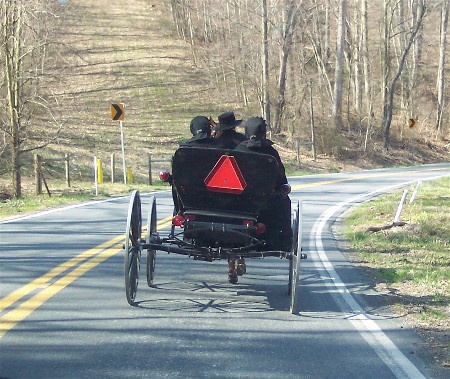 Amish open buggie