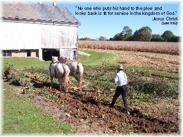 Photo of Amish man plowing